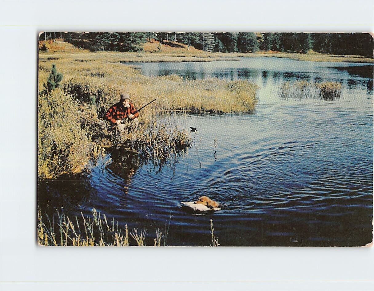 Postcard Hunting Scene Duck & Hunter