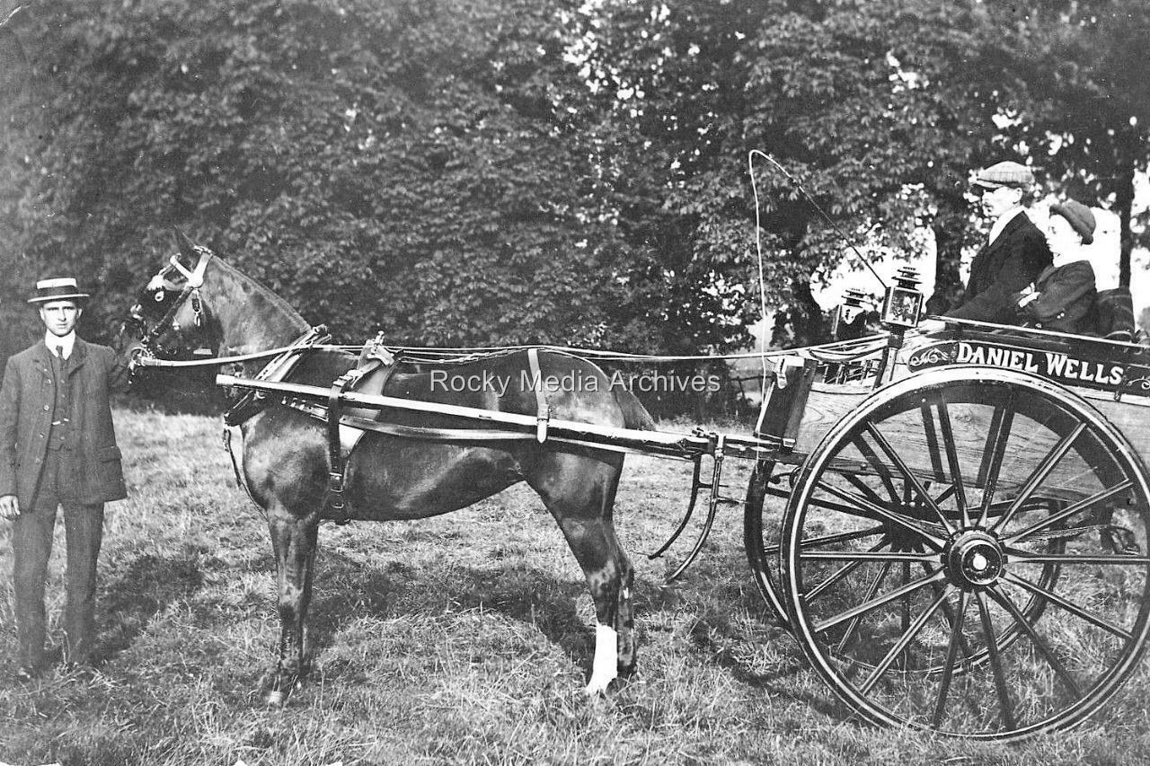 flt-82 Pony And Trap, Lincolnshire c1910. Photo