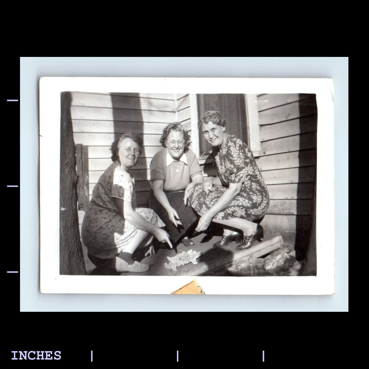 Vintage Photo WOMEN POINTING AT STARFISH THREE GRACES