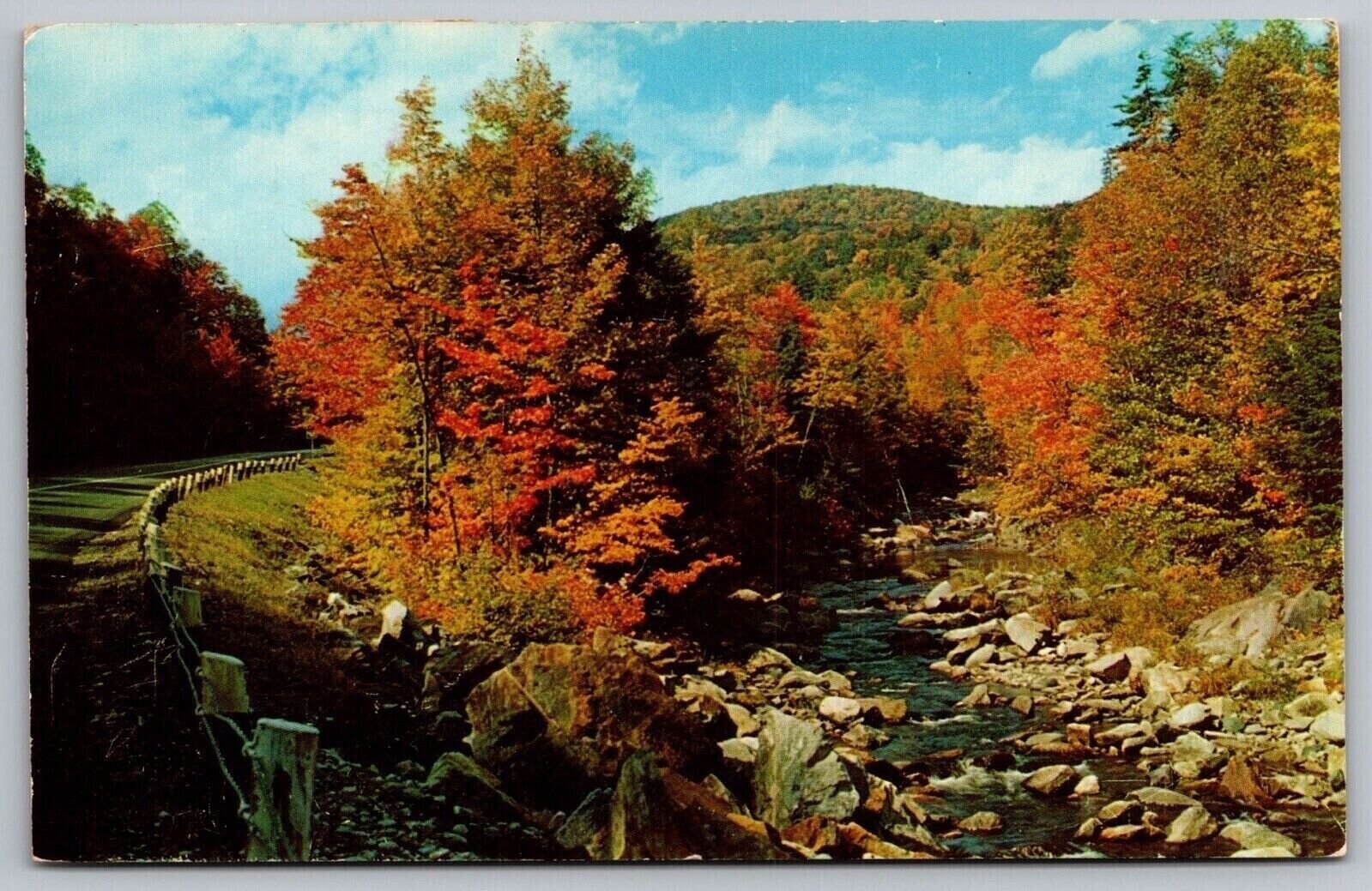Postcard Travelers Paradise Country Rd Fall Scene WOB Note VTG Vintage Dexter