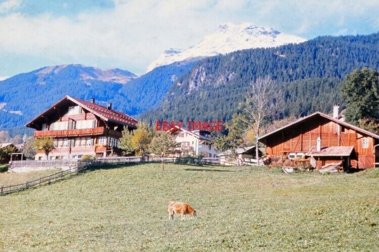 PHOTO  AUSTRIA 1980 VIEW 3