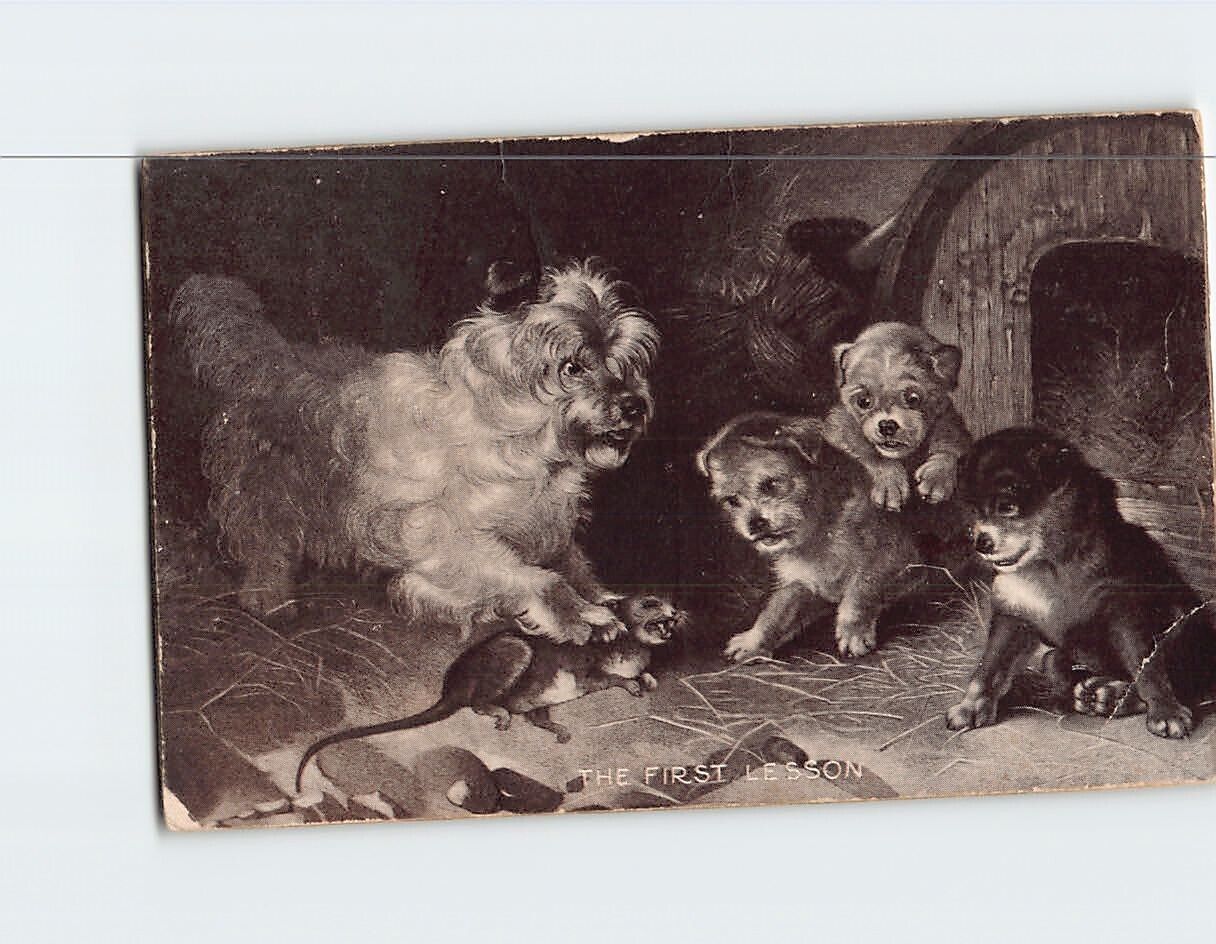 Postcard The First Lesson Dog and Puppies