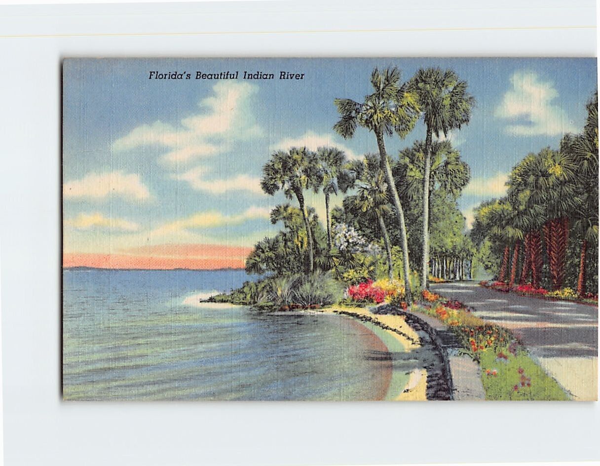 Postcard Florida\'s Beautiful Indian River USA