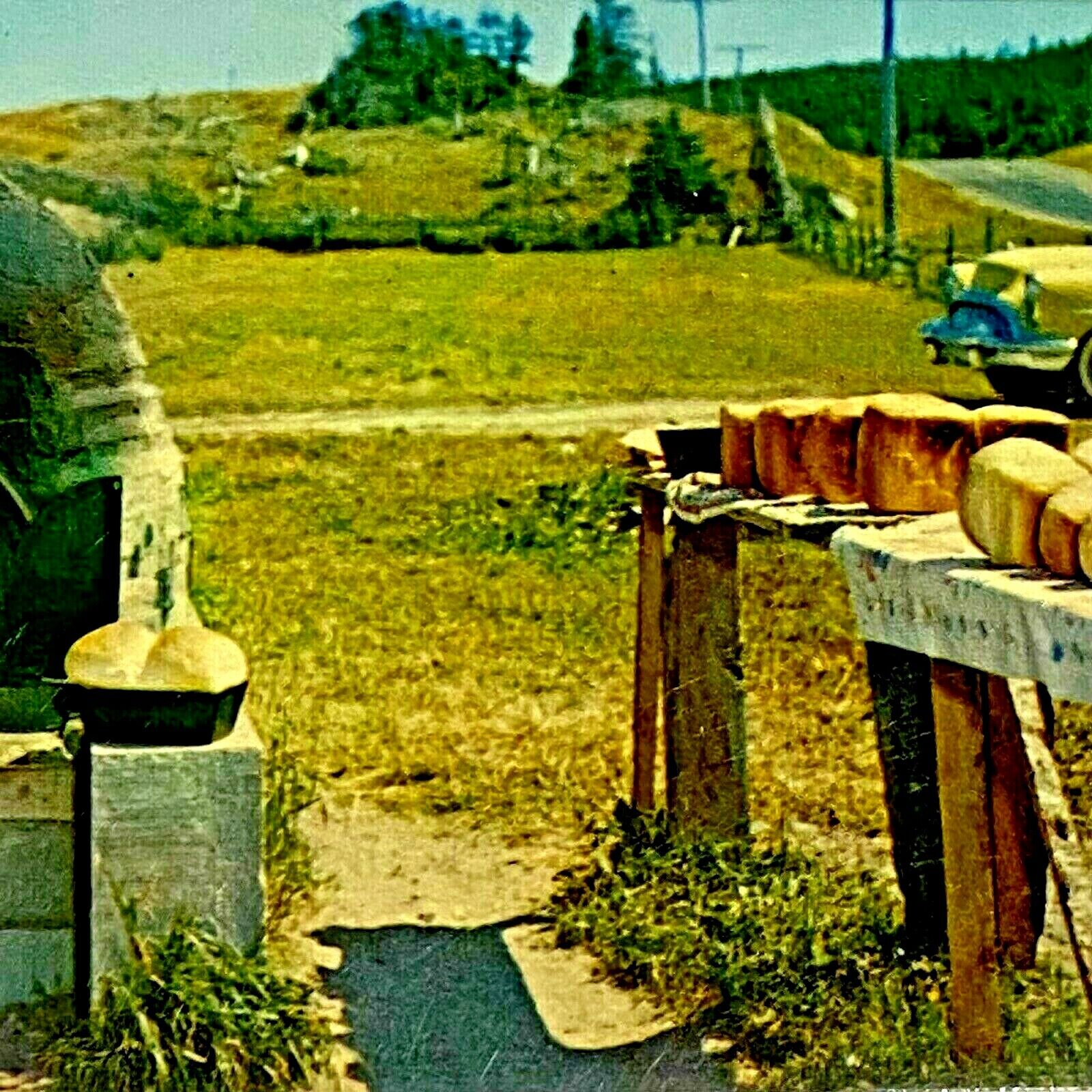 Postcard Roadside Bread Oven, Canada, Fresh Loaves, Classic Car, Posted