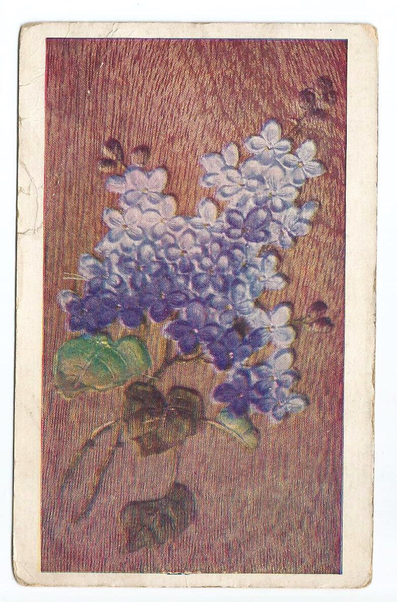 Purple Flowers Postcard Vintage c1910