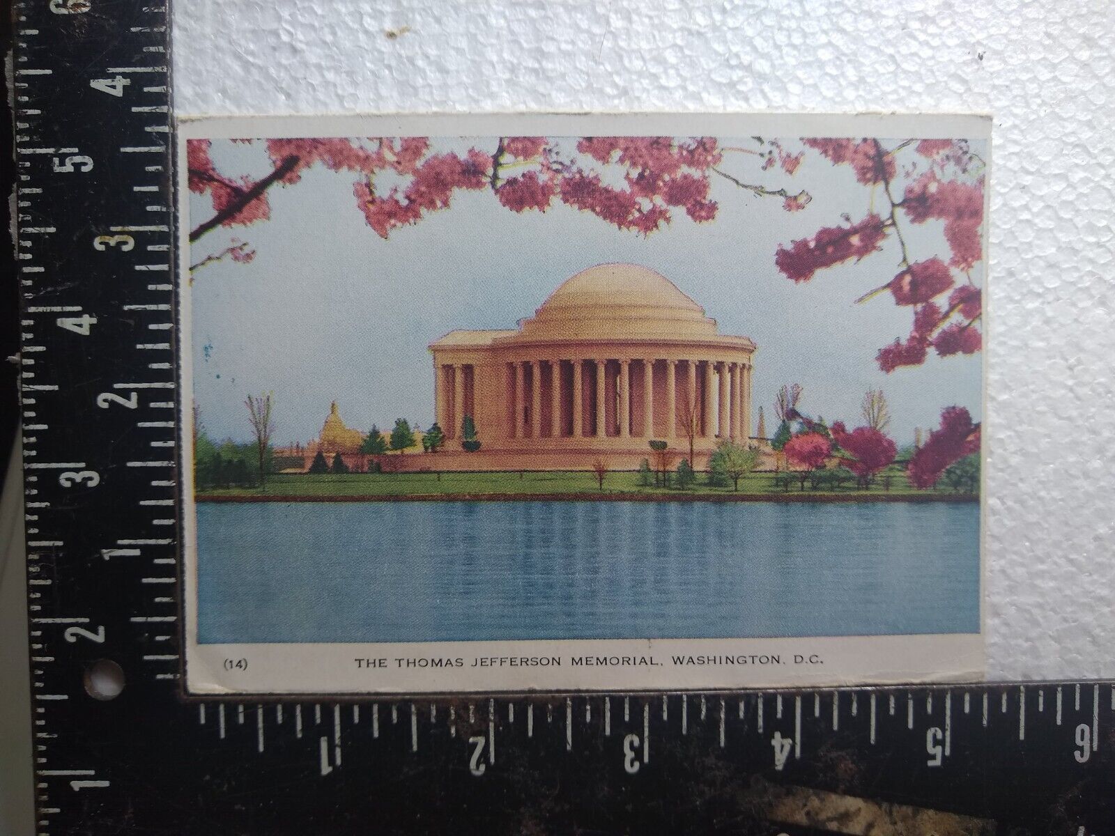 Postcard - The Jefferson Memorial - Washington, District of Columbia