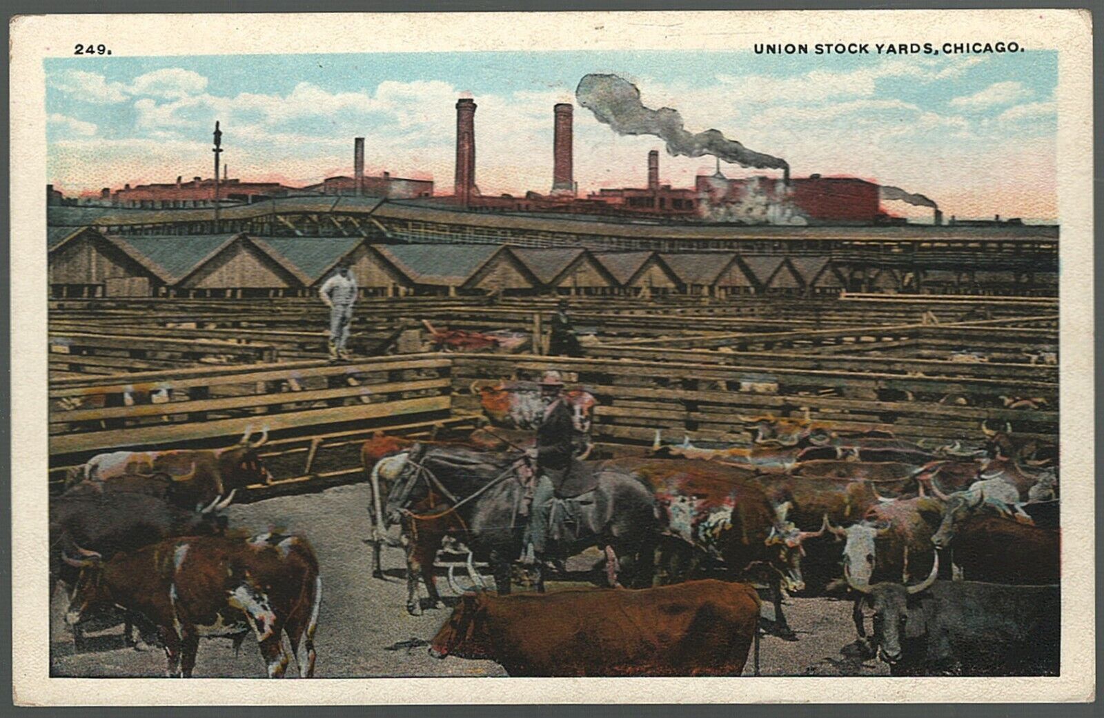 Postcard Union Cattle Stock Yards Chicago Illinois