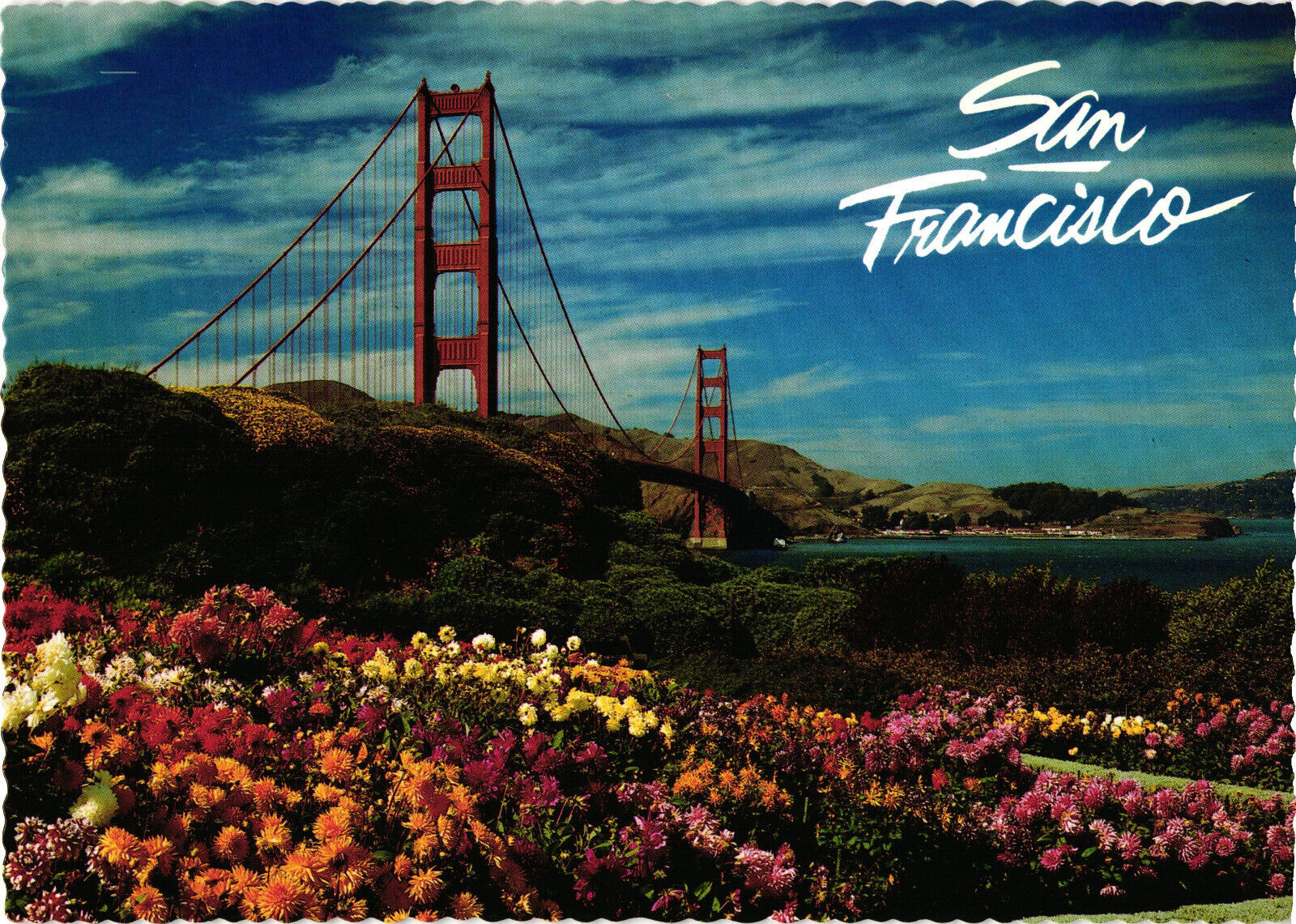 San Francisco Beautiful Spring Flowers + Golden State Bridge Postcard Unposted