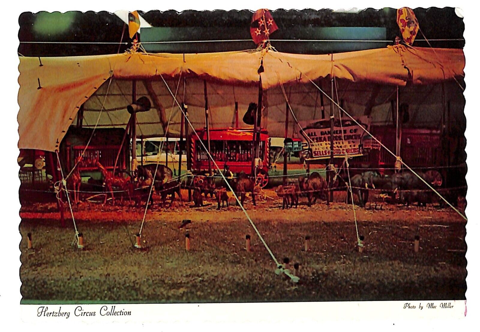 Hertzberg Circus Collection \