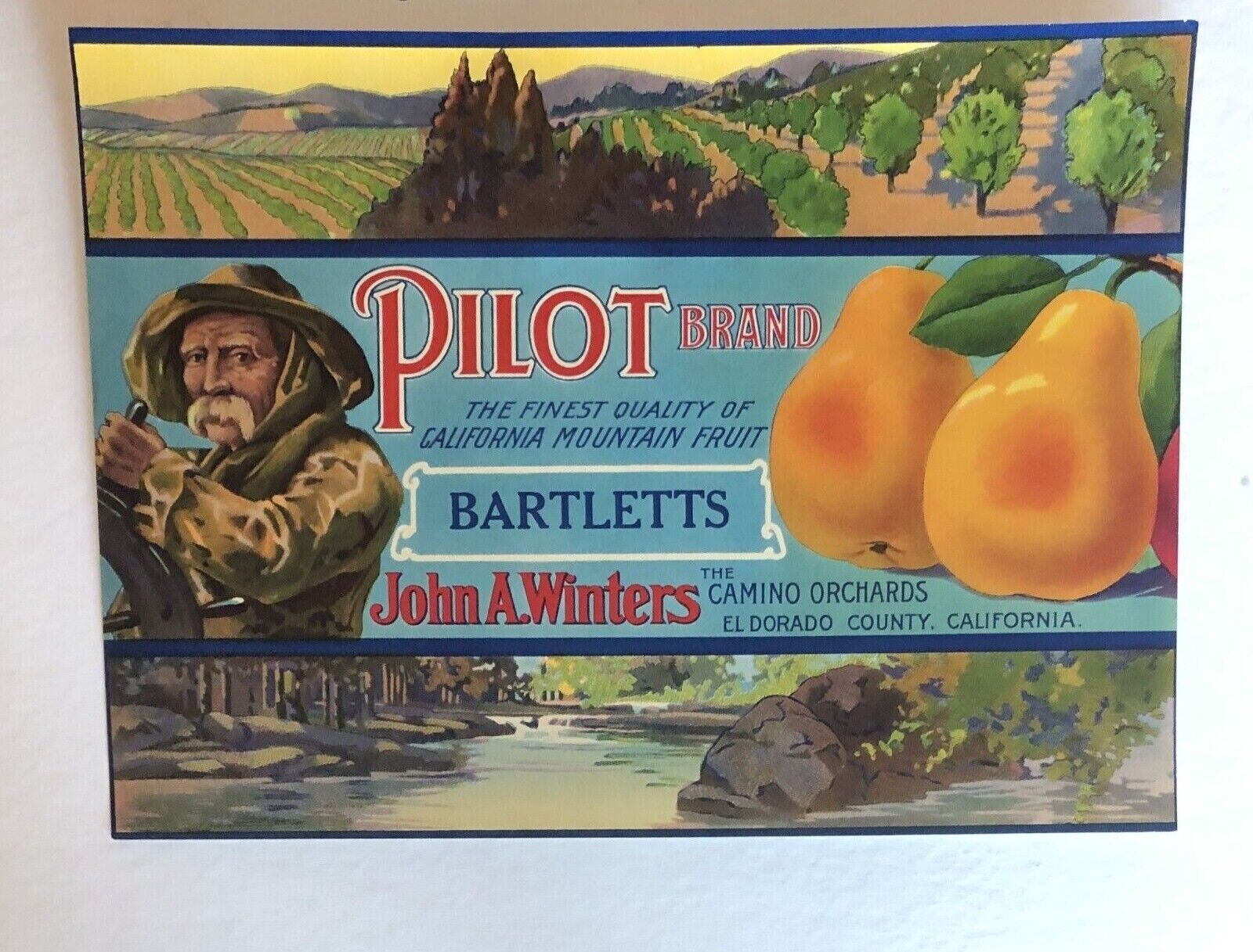 Pilot Brand Rare Pear Crate Label - California