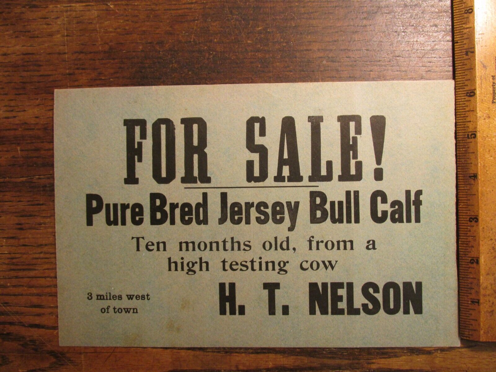 Antique Ephemera Auction Flyer Broadside for the Sale of a Jersey Bull Calf