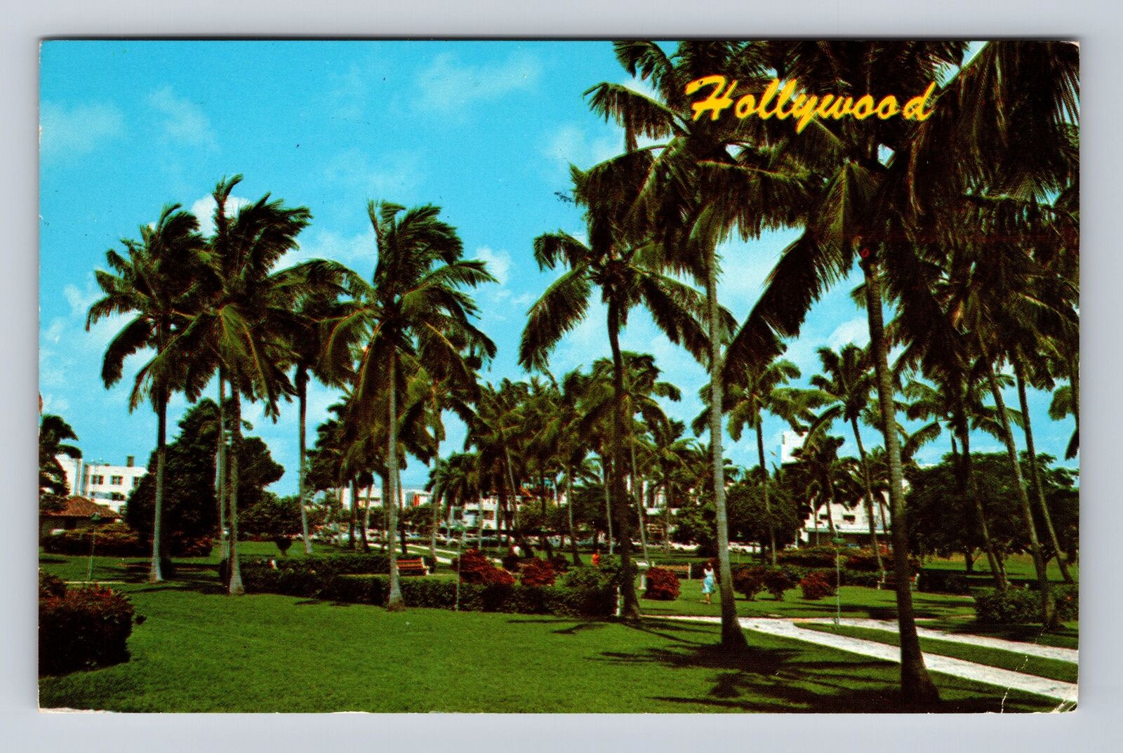 Hollywood FL-Florida, Scenic View Of Town Area, Antique, Vintage c1969 Postcard