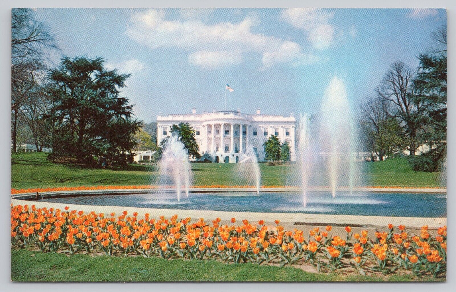 Washington DC, The White House Fountain & Flowers, Vintage Postcard