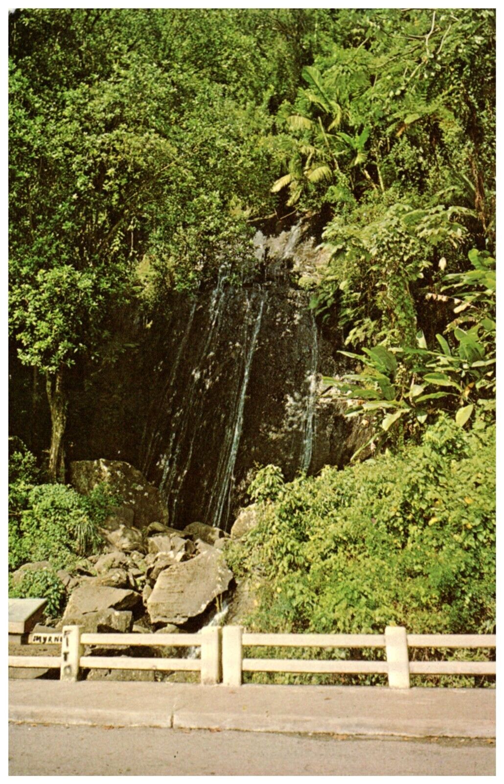 Beautiful Waterfall on the Way to El Yunque Rainforest Vintage Postcard WOB