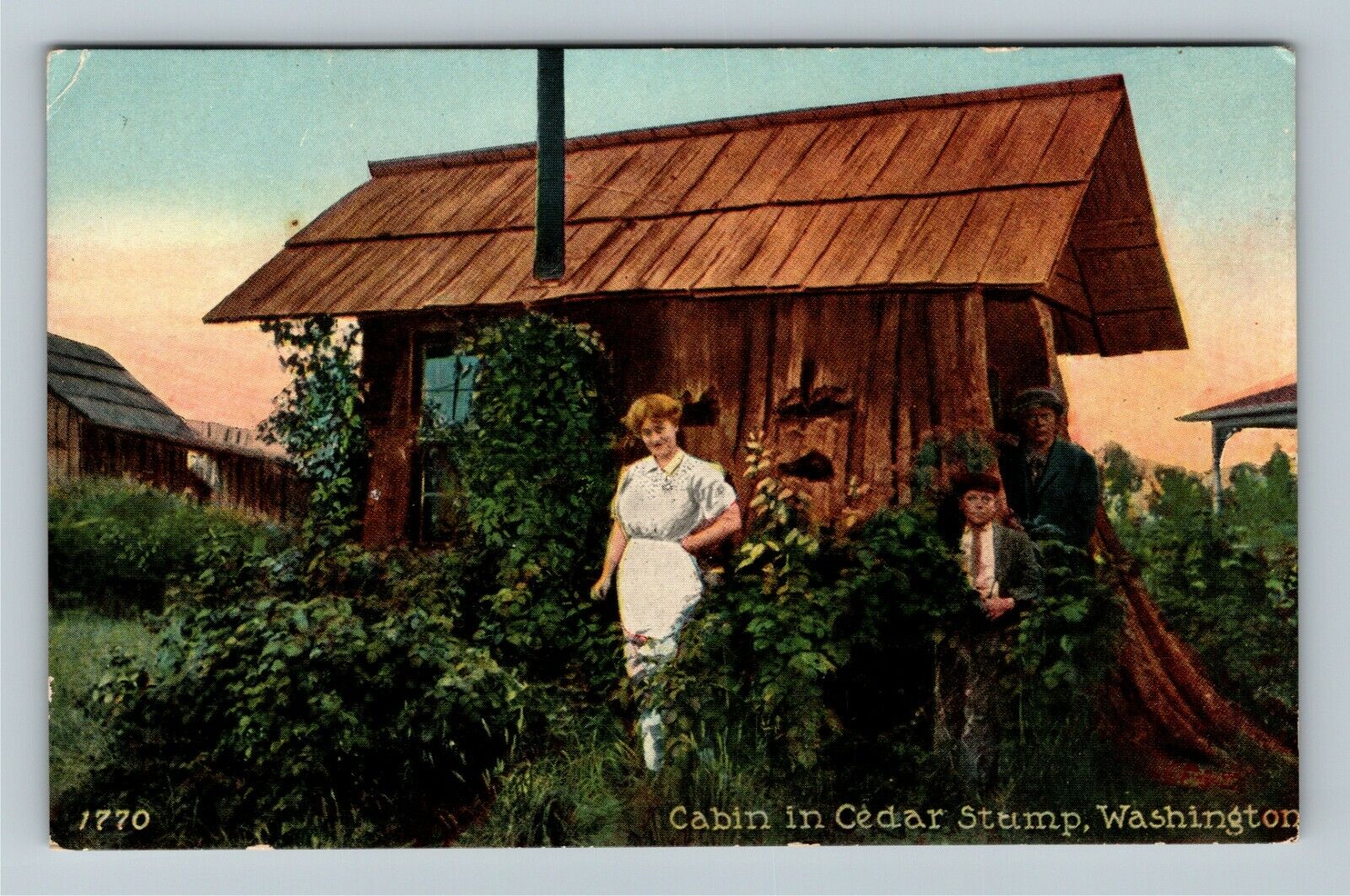 WA-Washington, Cabin In Cedar Stump Vintage Souvenir Postcard