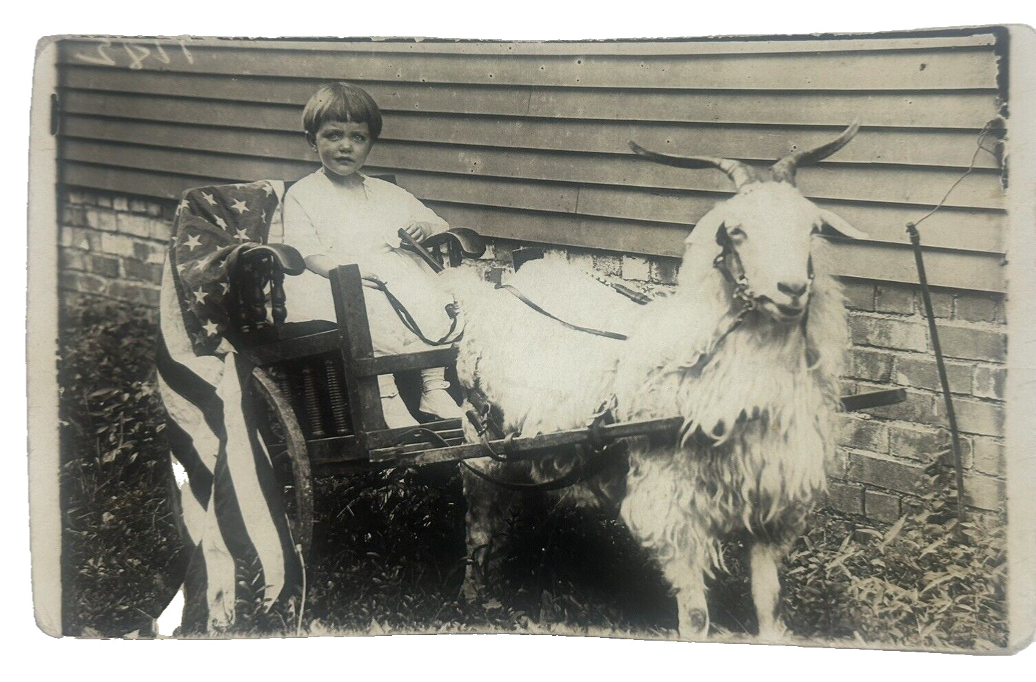 Goat Coat Postcard Rppc Real Photo Child Patriotic Flag- Draped Trimmed AZO