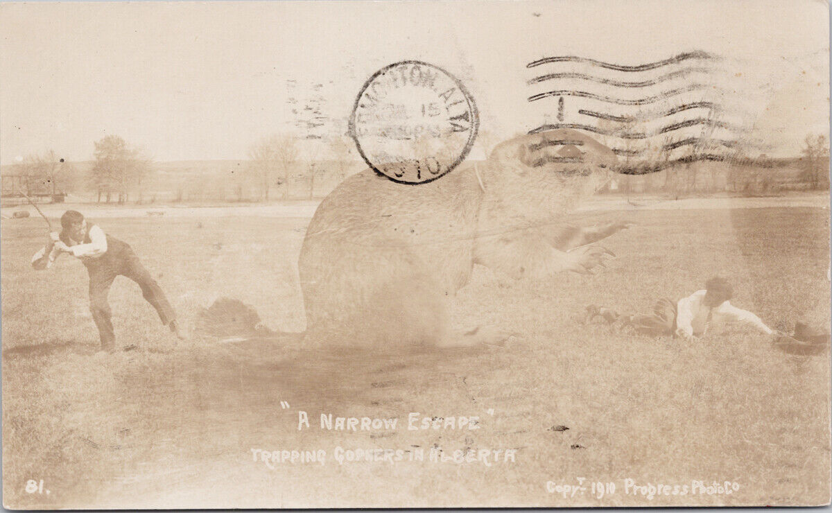 Trapping Gophers in Alberta Exaggeration Giant Gopher Progress RPPC Postcard G95