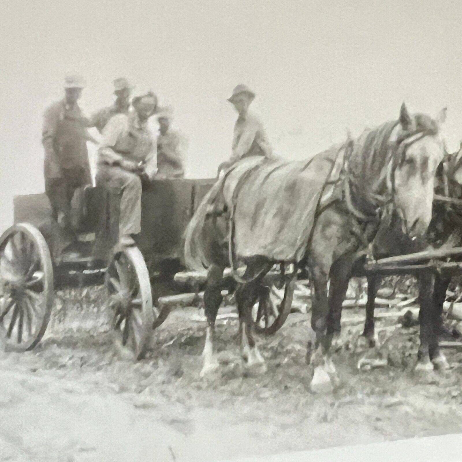 Stockton Kansas Farmers on Horse Buggy Wagon  c1929 3 x 5