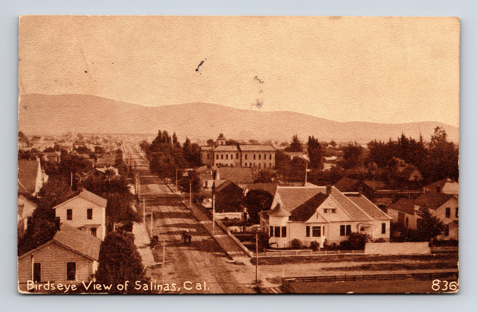 c1912 Aerial View of Salinas California CA Horse Carriage Postcard