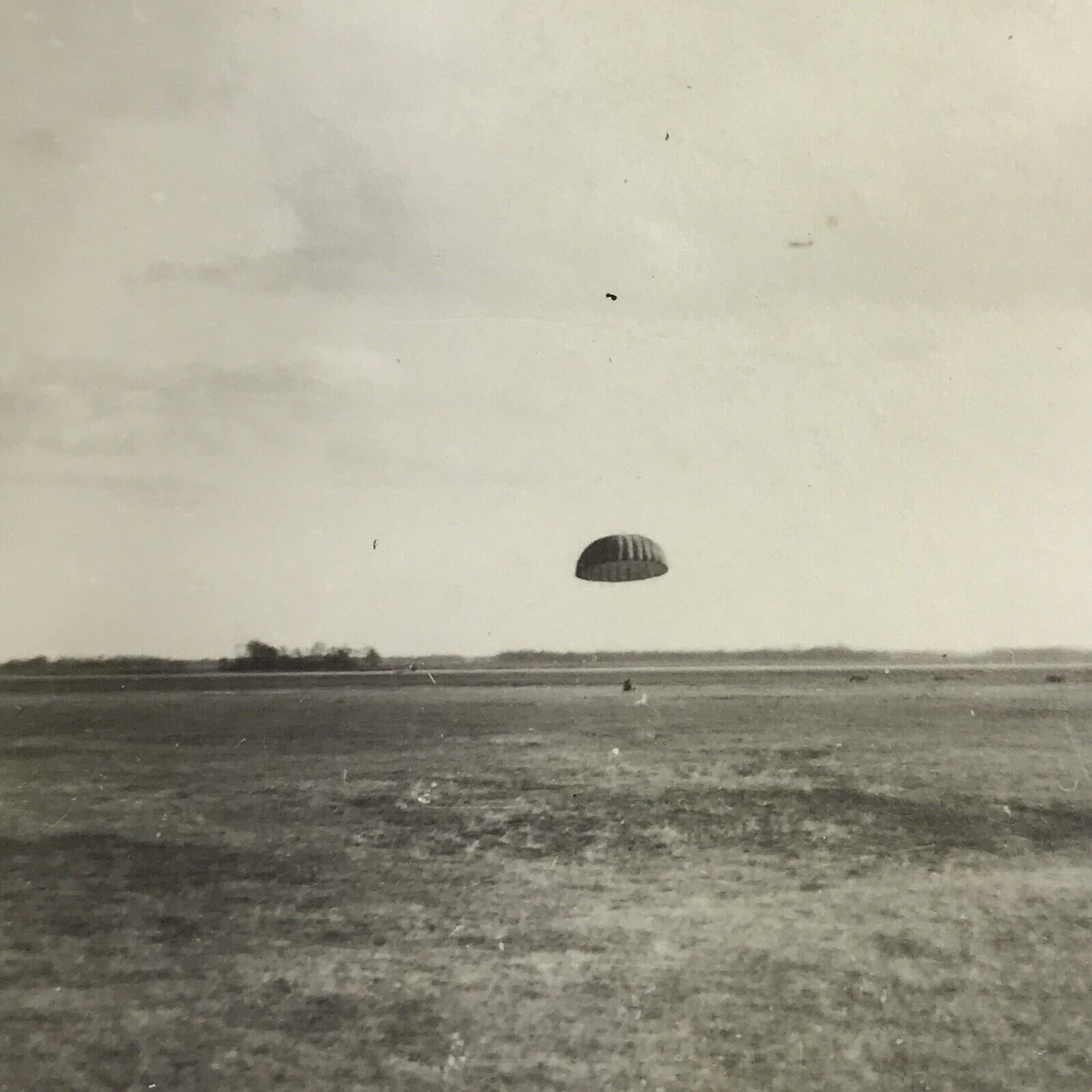 Vintage Black and White Photo Skydiver Landing On Ground Parachute Open Field 