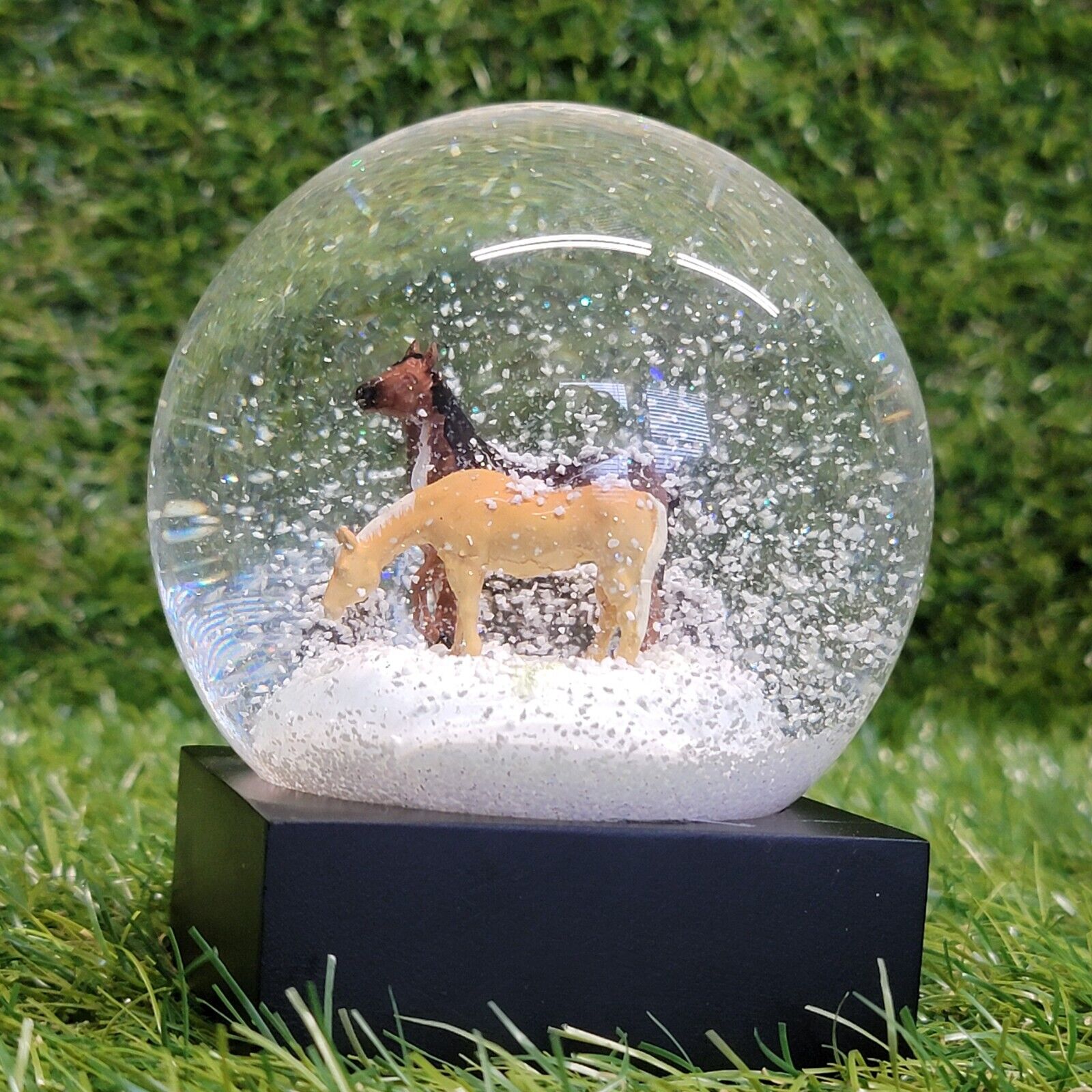 Snow Globe Two Horses Grazing By CoolSnowGlobes 2021