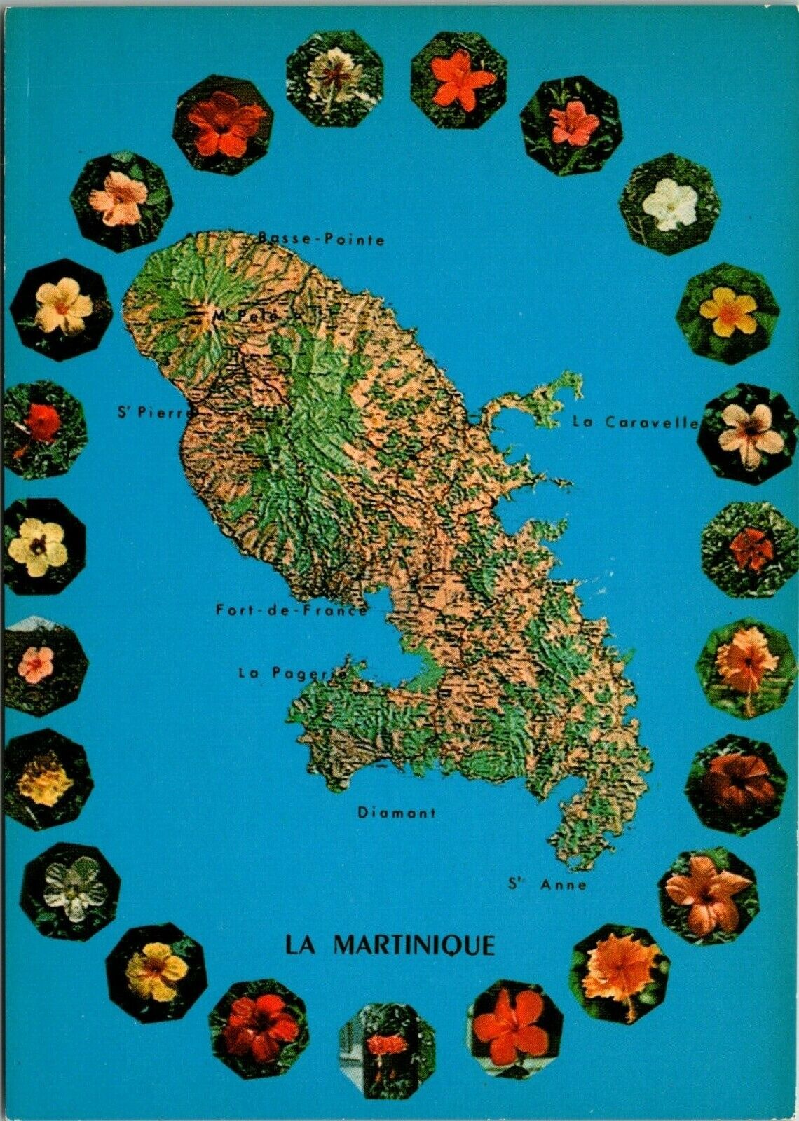 6X4 Postcard Martinique French West Indies - Map Card Island of Flowers Hibuscus