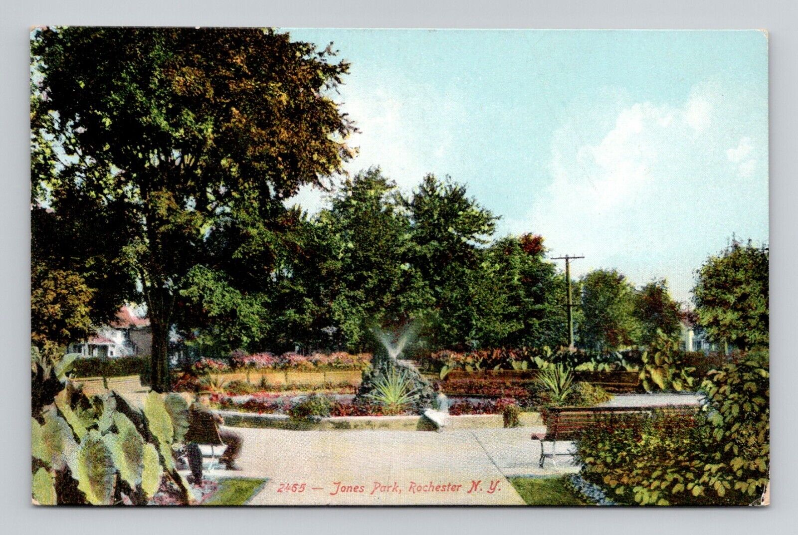 Postcard Jones Park Rochester New York NY, Antique B1