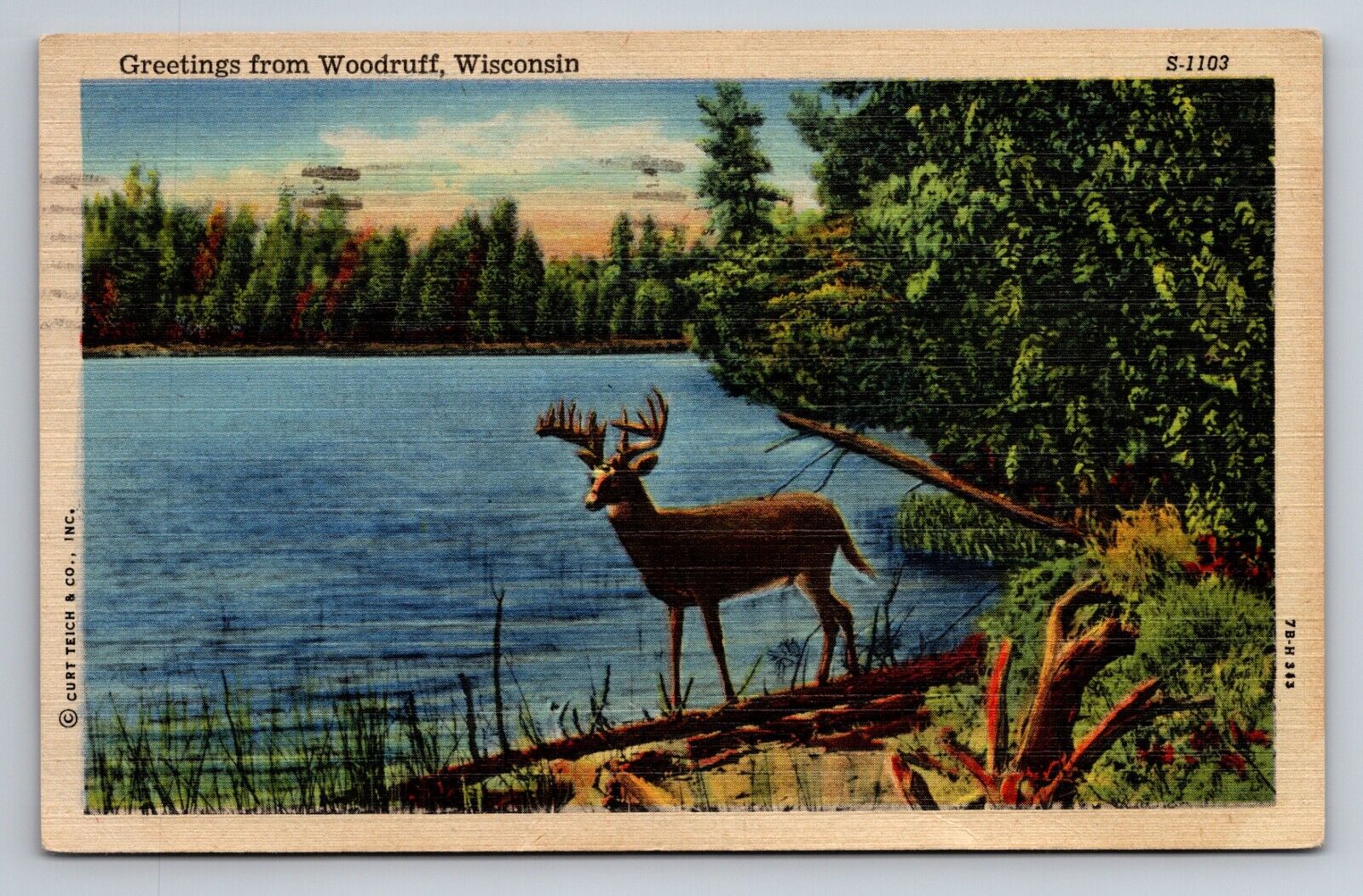 Greetings From Woodruff Wisconsin Posted 1950 Linen Postcard Deer