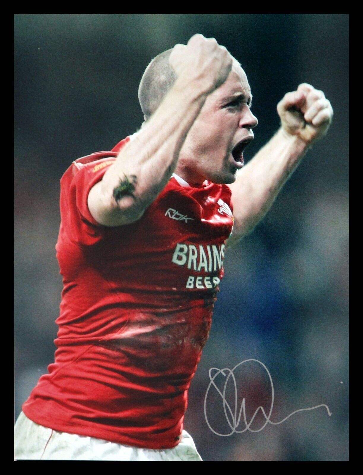 Shane Williams Signed Rugby 12x16 Photograph: C