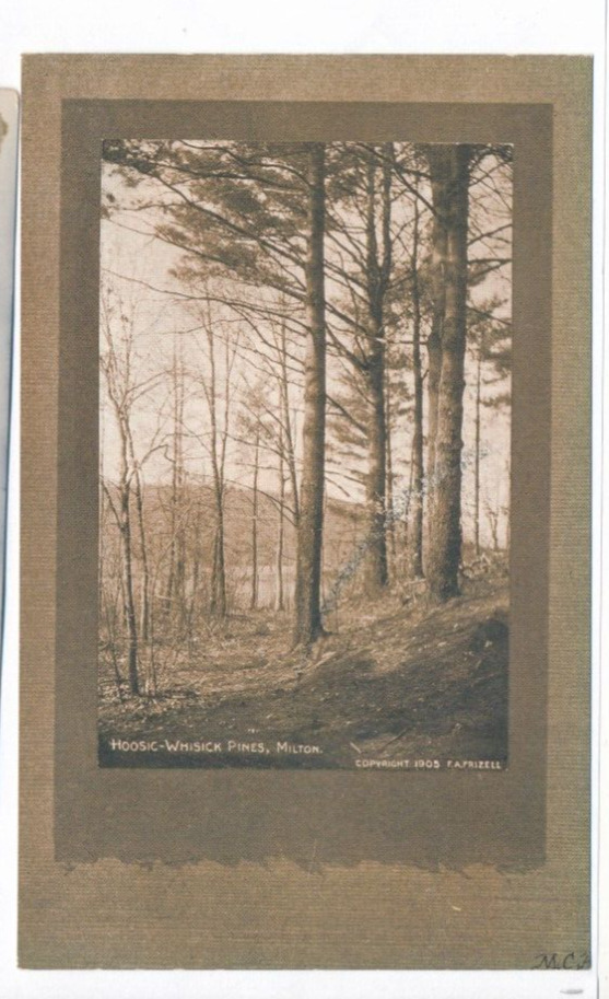 Hoosic-Whisick Pines, Milton MA postcard pmk 1906 rcv South Boston