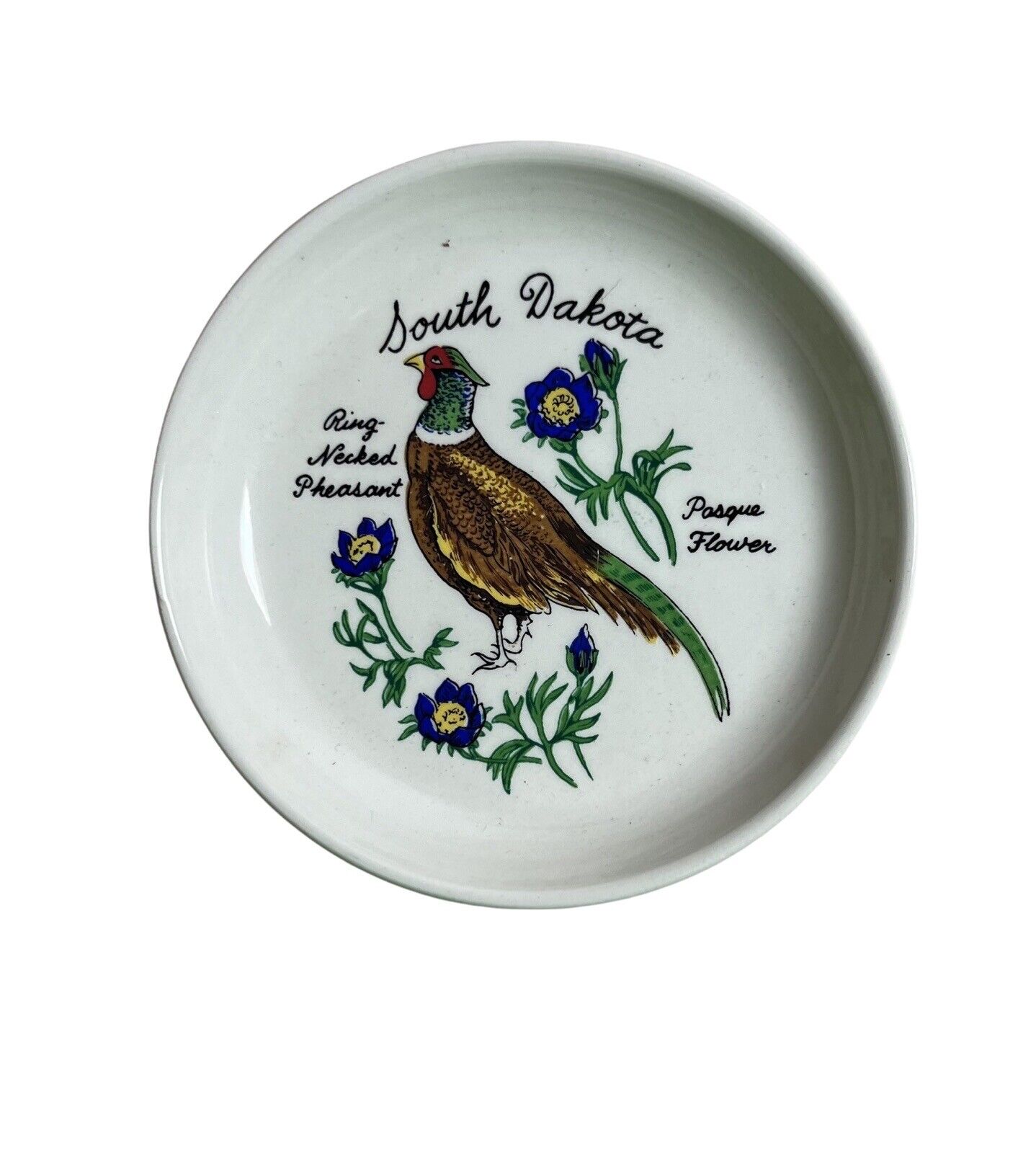 Vintage Souvenir Plate South Dakota Ceramic 4 Inch