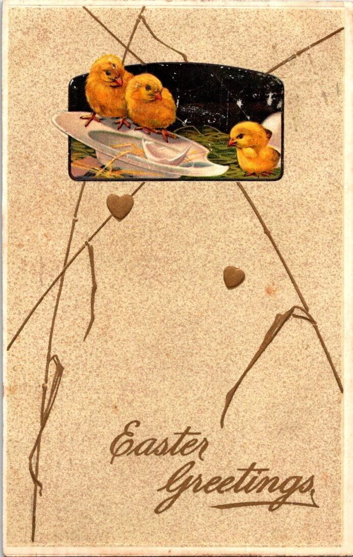 c.1911 Easter Greetings Postcard Chicks Hatching Chattanooga TN