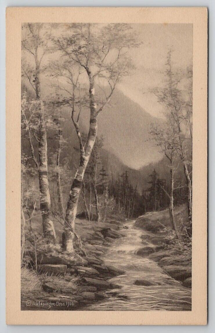 Schlesinger Beautiful Creek Mountains Trees Sketch Style Landscape Postcard S29