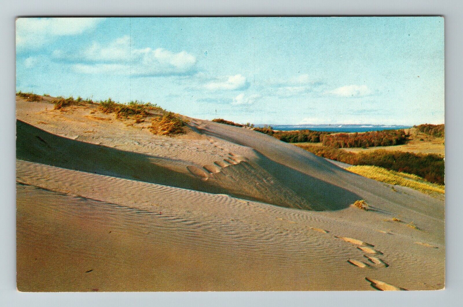 MI-Michigan, West Michigan Sand Dunes, Scenic View, Vintage Postcard