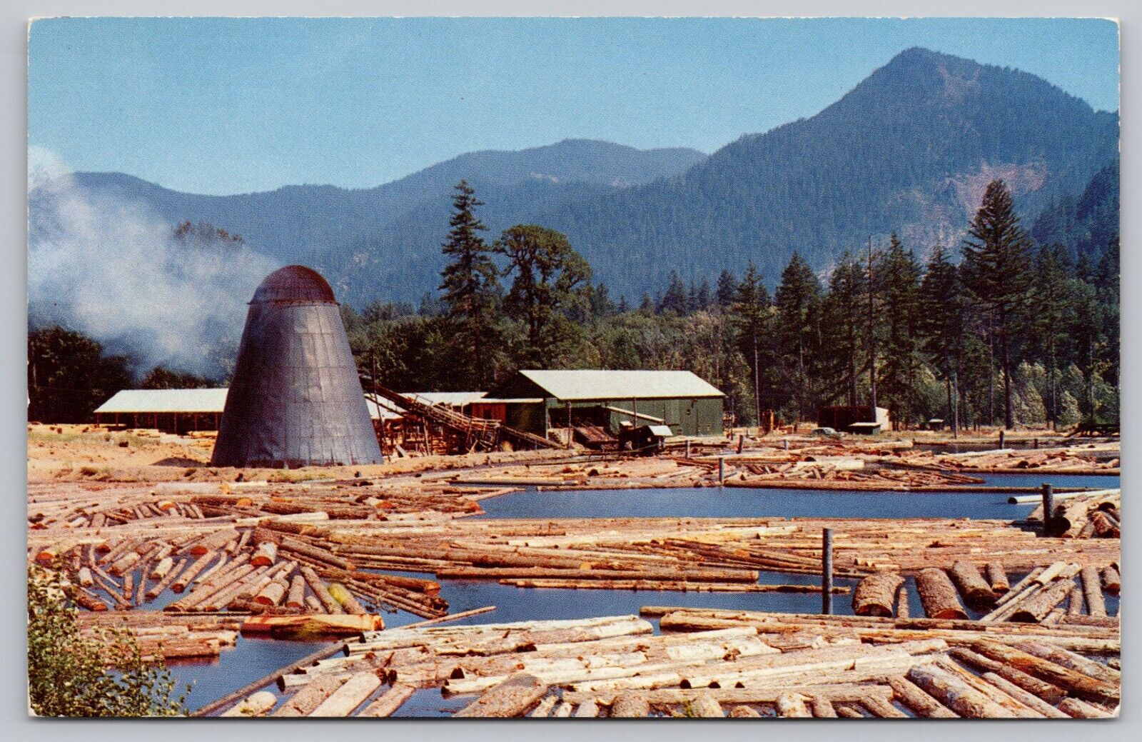 Postcard - Sawmill & Log Pond - Northwest United States - 1950s, Unposted (Q37)