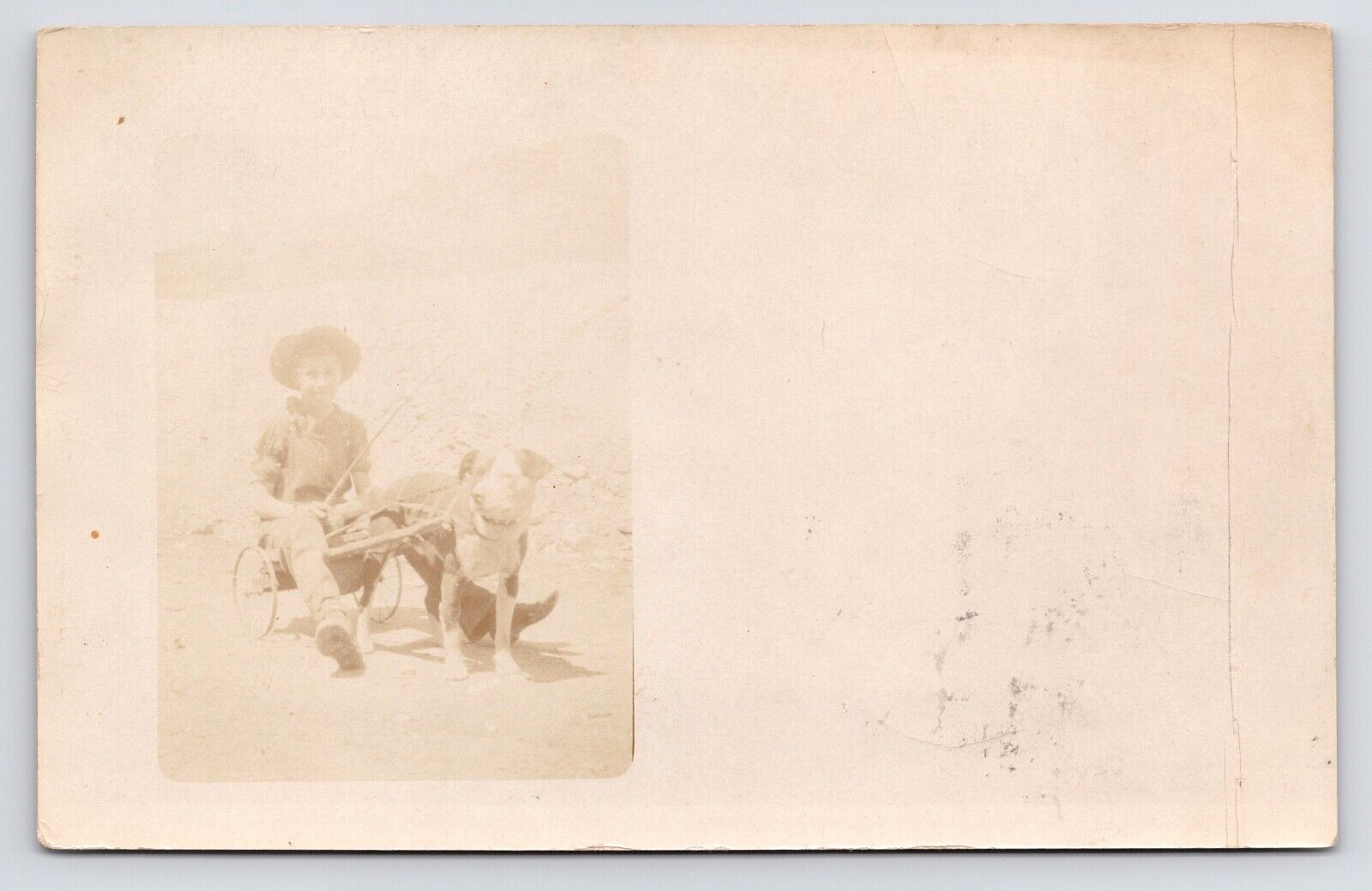 1910~Lloyd Doman as a Boy Being Pulled in Buggy by Bulldog~Photo~RPPC Postcard