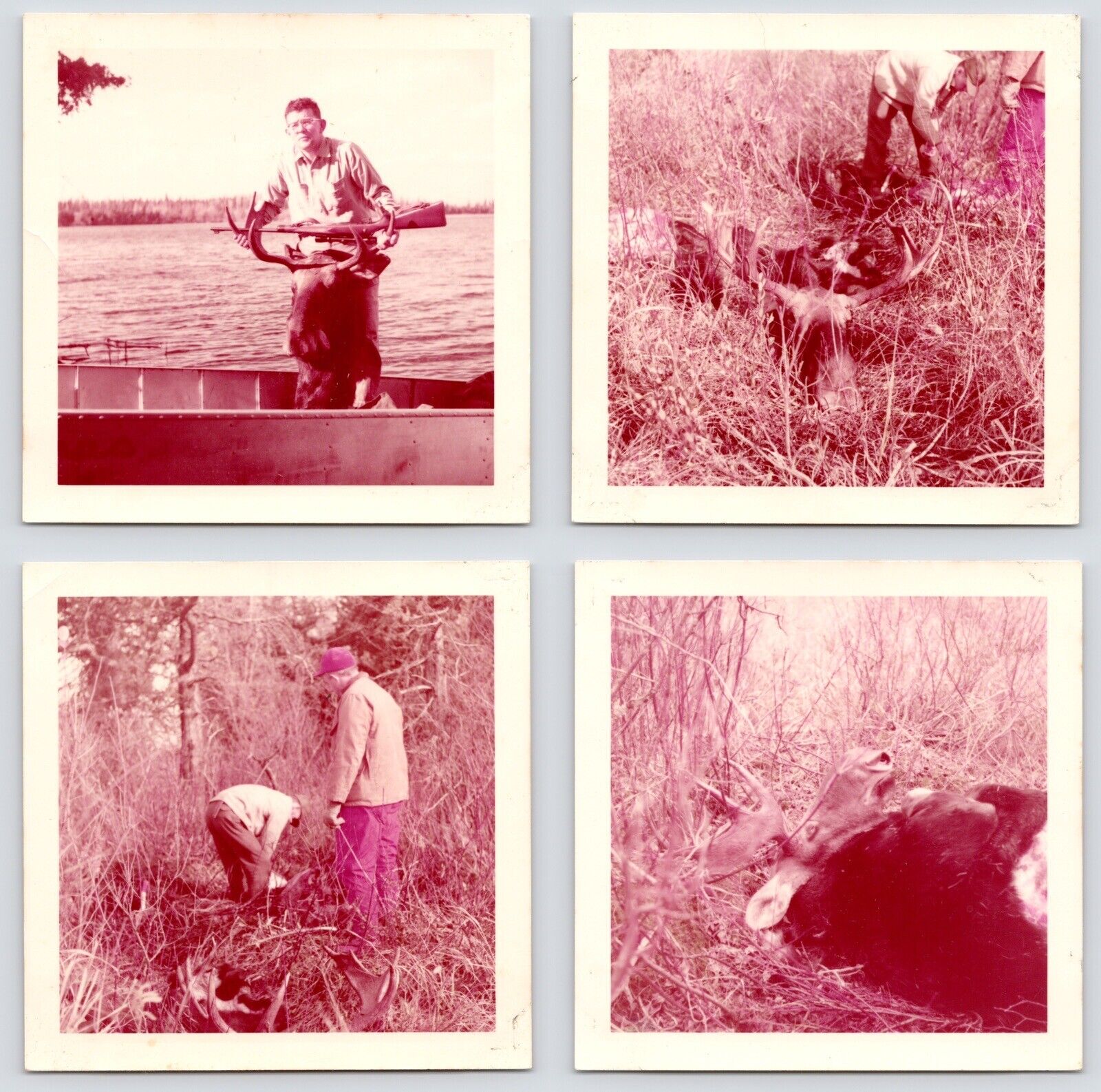 c1950s Moose Hunting~Hunter~Big Game Rifle~Hunt Trip~4 VTG Original Photographs