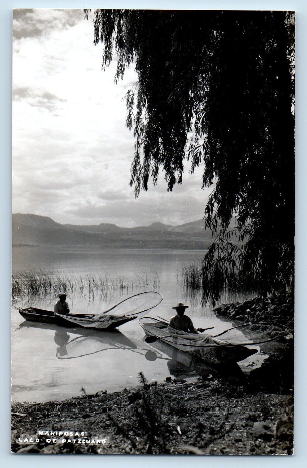 Pátzcuaro Michoacan Mexico Postcard Lake Patzcuaro Mariposas c1950\'s RPPC Photo