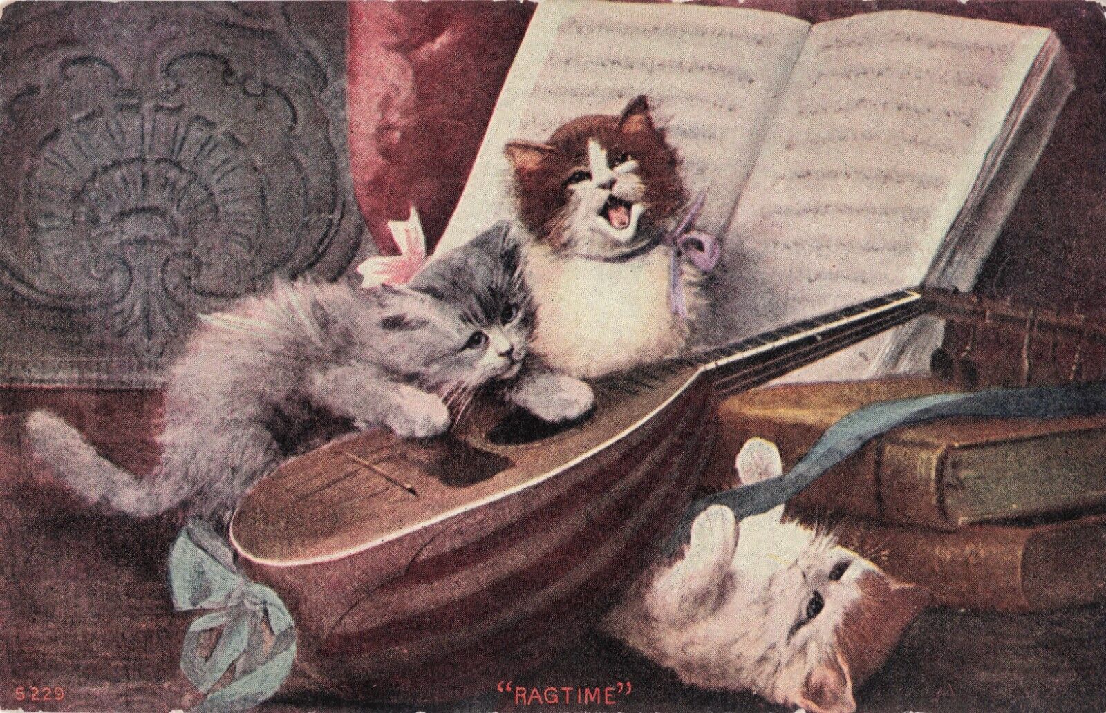 Artist Card Kittens Pluck Lute Singing Meowing Music Books Postcard c 1906