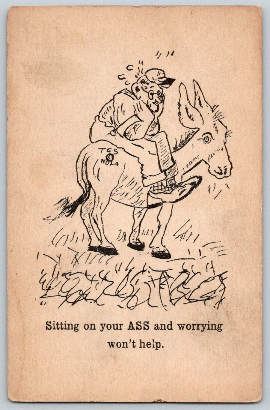 Vintage Comic Postcard~ Tes Nola~ Man & Donkey~ Sitting On Your Ass & Worrying
