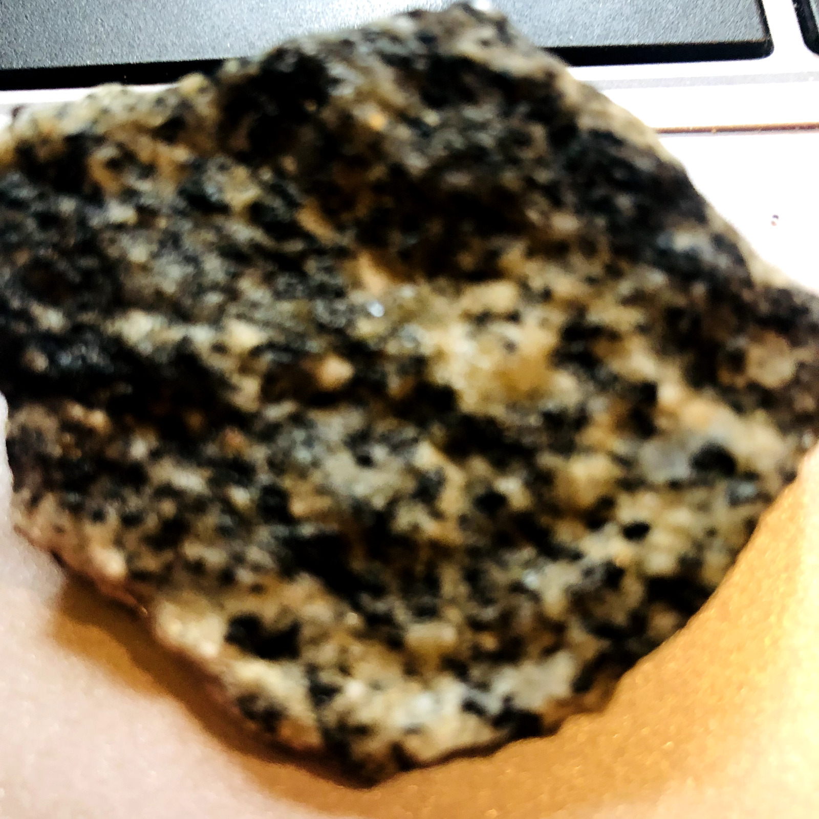 Maine Gneiss Rock - Natural Specimen from Maine, USA
