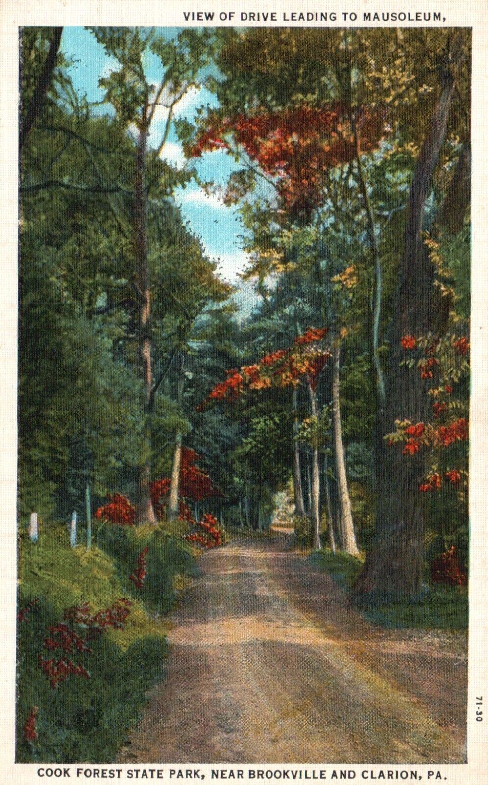 Postcard PA Cook Forest State Park Drive to Mausoleum Linen Vintage PC H2940