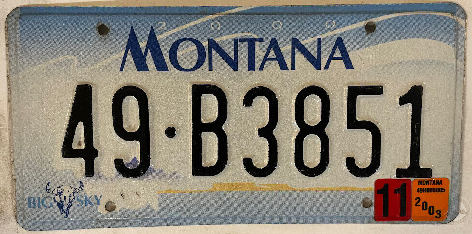Montana PARK COUNTY #49 license plate Livingston 3851 Yellowstone National B3851