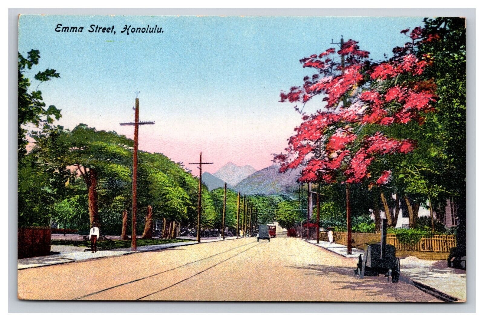 View On Emma Street, Honolulu Hawaii HI Postcard