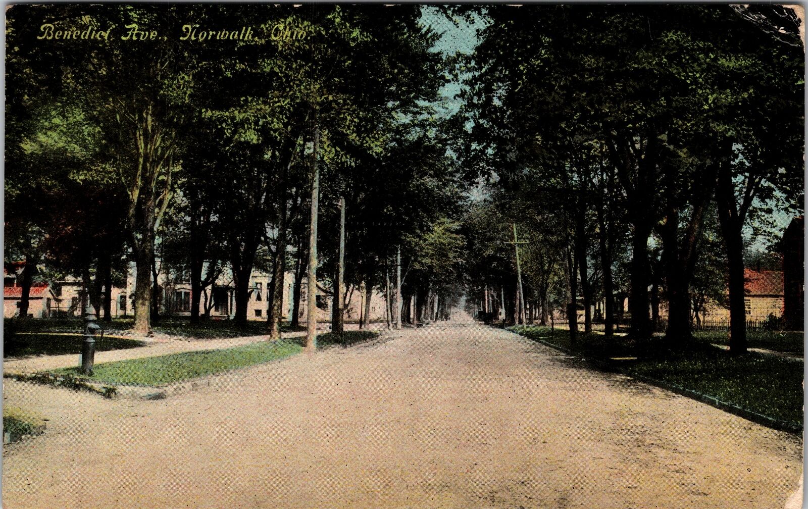 Norwalk OH-Ohio, Benedict Avenue, c1911 Vintage Souvenir Postcard