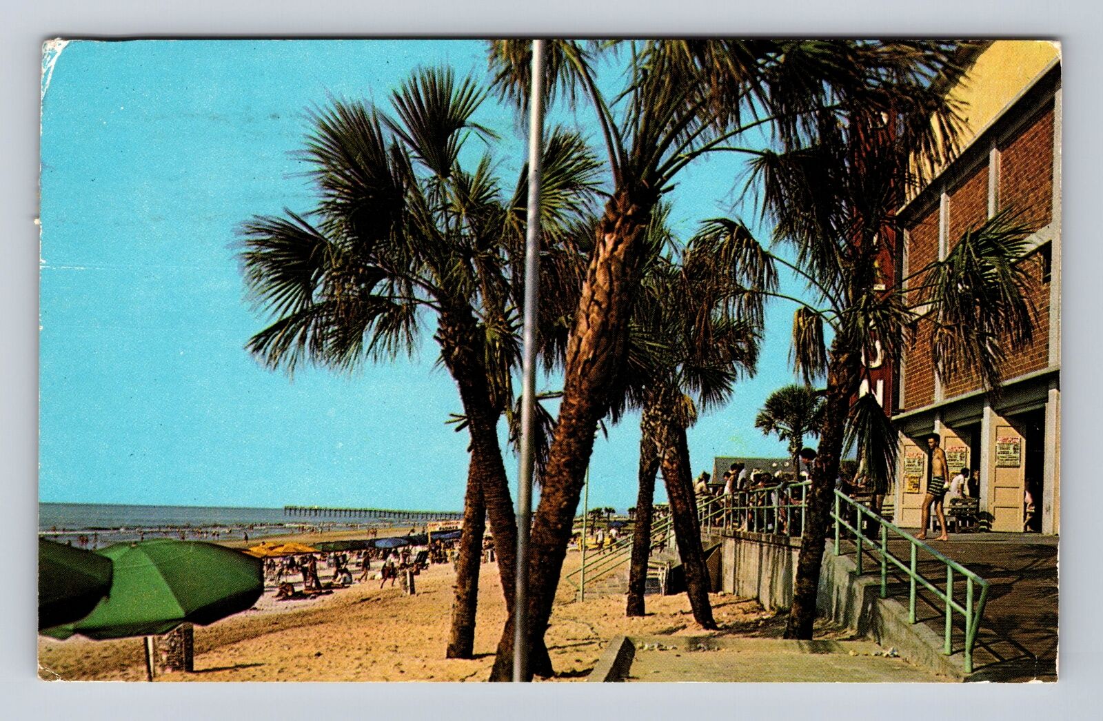 Myrtle Beach SC-South Carolina, Palms Swaying In Breeze, Vintage c1971 Postcard