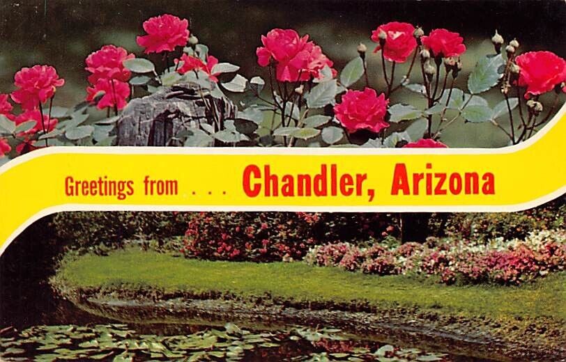 Postcard AZ: Greetings from Chandler, Arizona, Unposted