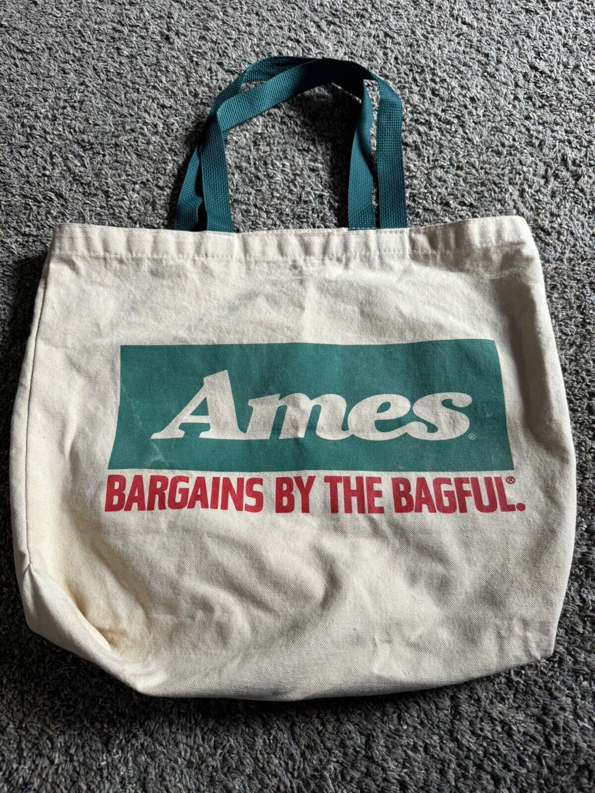 AMES DEPARTMENT STORE Canvas Shopping Bag Tote Green Handles Vintage