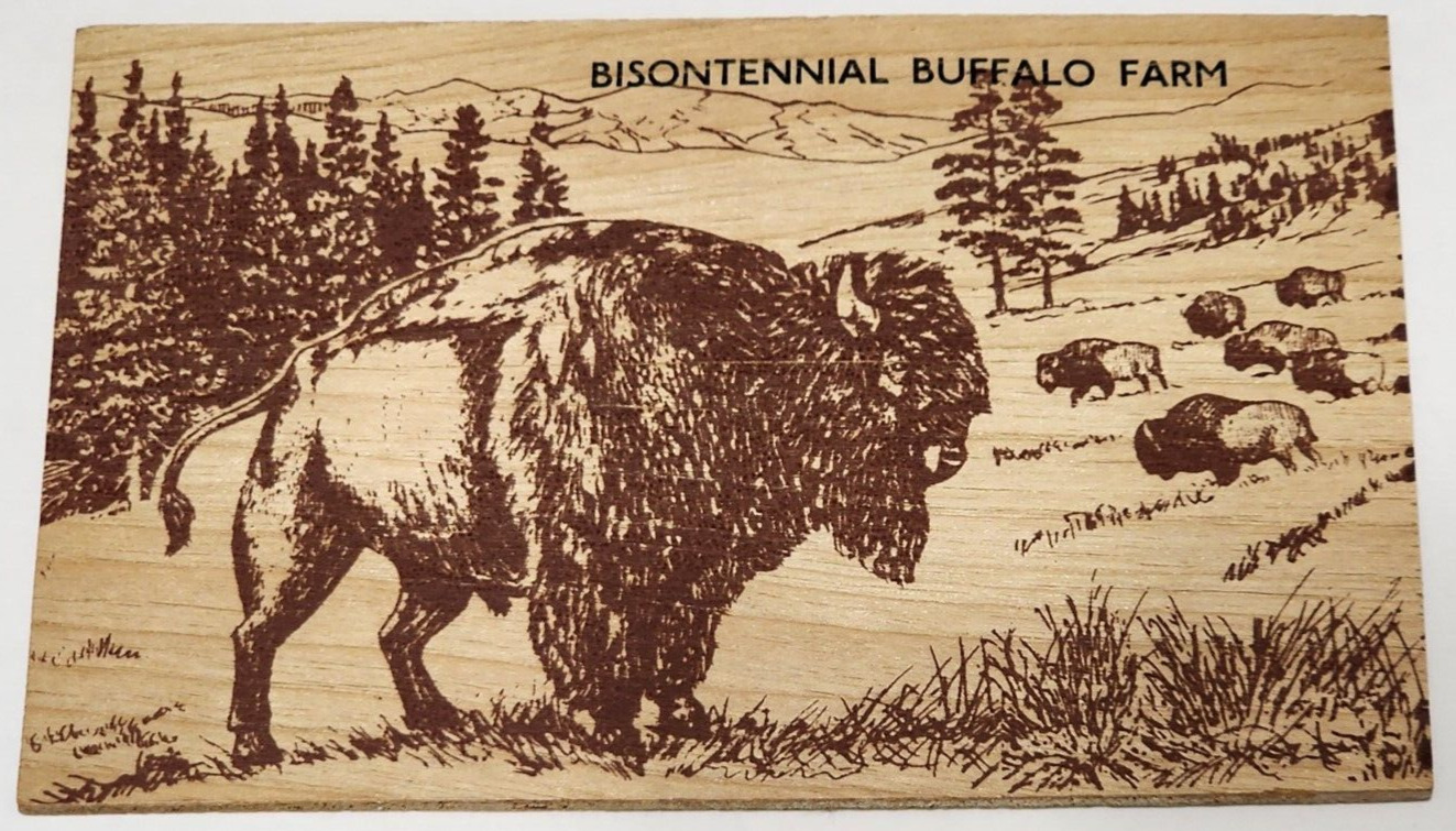 Bisontennial Buffalo Farm Vandercraft Wooden Durable Quality Thick Wood Postcard