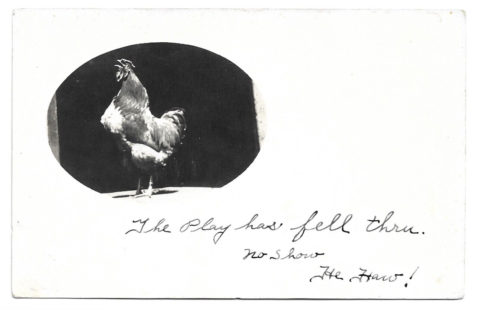 Photo Of A Chicken With Funny Text, Wilmington Vermont, Antique RPPC Postcard